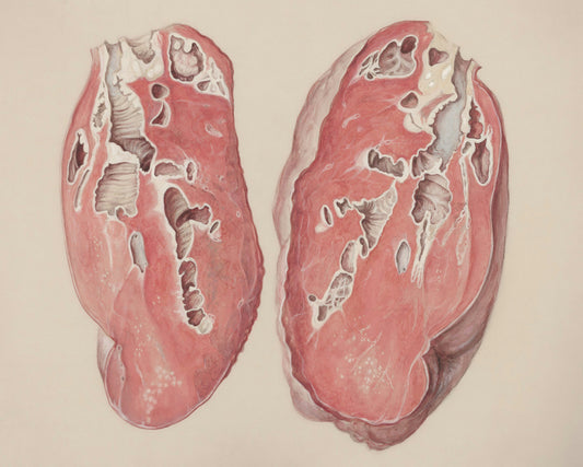 How to Support Your Liver Naturally Every Day
